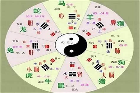 字音五行|如何判断汉字的五行